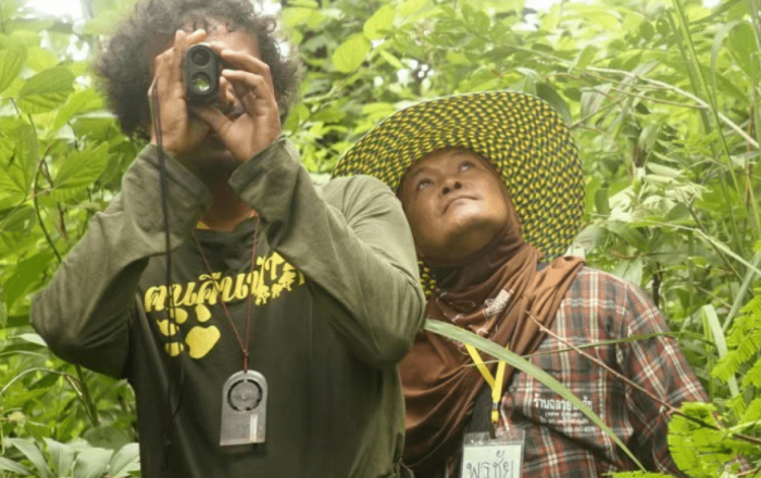 The Mae Fah Luang Foundation (MFLF) applies nature-based solutions to restore ecosystems, support communities, and create lasting sustainability. By blending traditional wisdom with innovation, we ensure that nature and people thrive together.