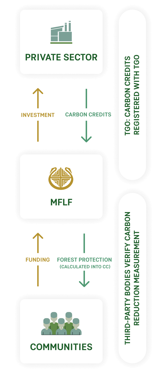 Project Structure: