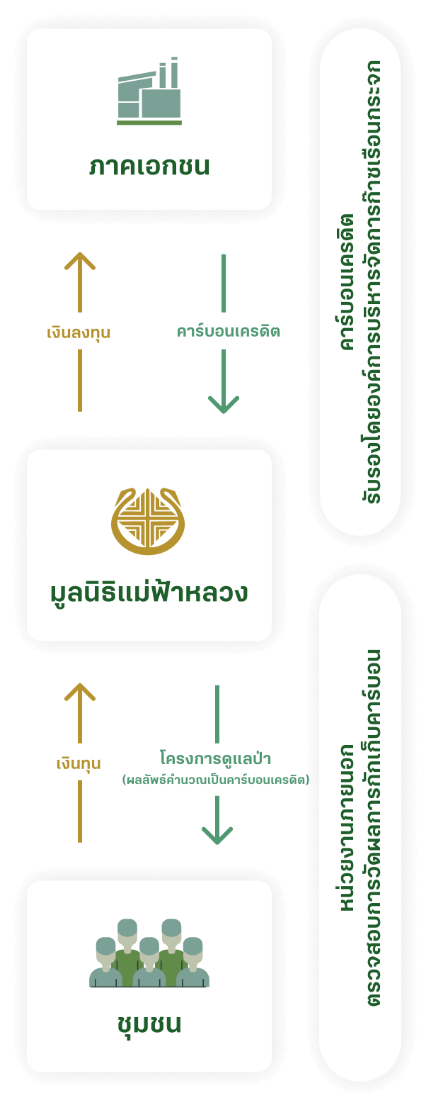 โครงสร้างการดำเนินงาน: